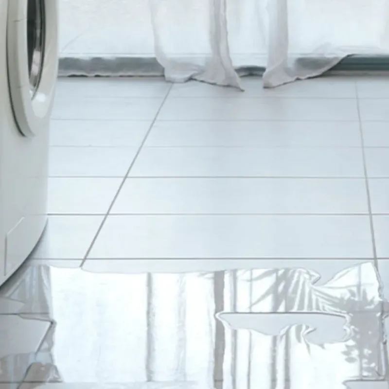 Appliance Leak Cleanup in Bertie County, NC