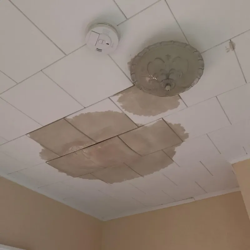 Ceiling Water Damage Repair in Bertie County, NC