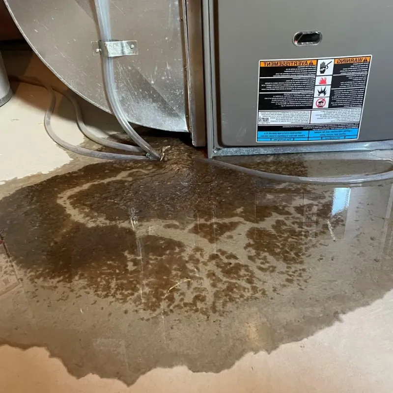 Pipe Burst and Leak Restoration in Bertie County, NC