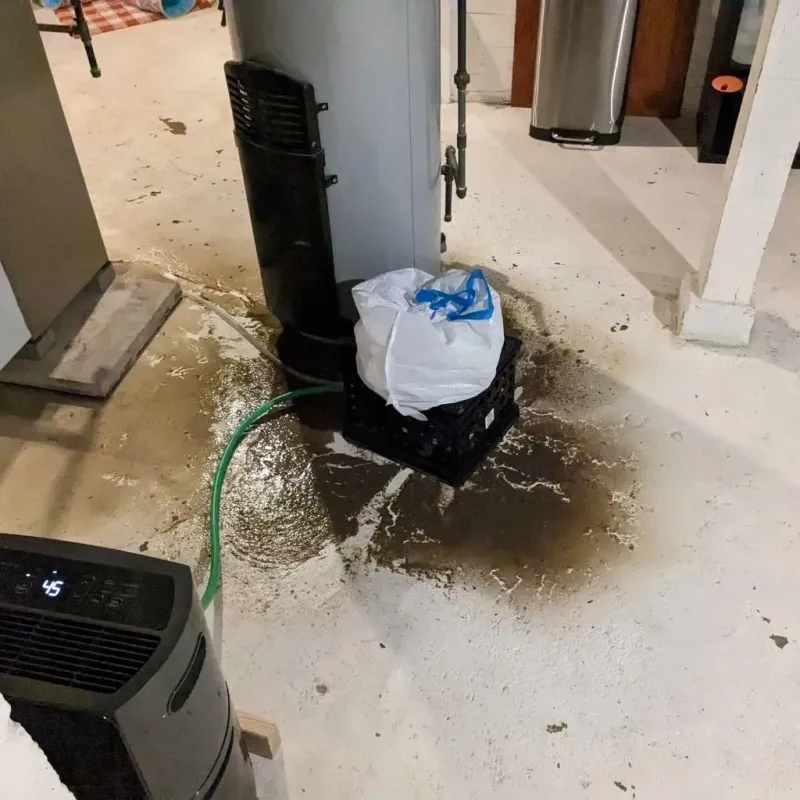 Sewage Backup Cleanup Service in Bertie County, NC